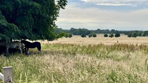 Photo 25- click for photo gallery